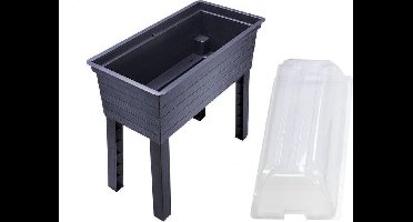 verhoogd groentebed met kas - graf - 645143