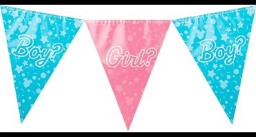 Party Flags foil - Gender reveal