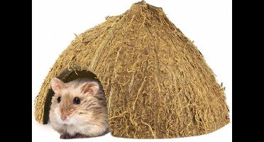 Back Zoo Nature Coco Hiding Cave