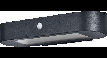 LEDVANCE ENDURA Style Ovale solar wandlamp, warm wit licht (3000K), geïntegreerde sensor, bruikbaar zonder stroom, lange batterijduur: 30 keer 60 seconden in PIR-modus, IP44 bescherming, zwart