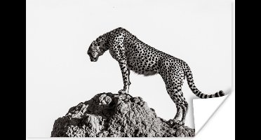 Poster - Panter - Roofdieren - Portret - Zwart - Wit - Posters zwart wit - 30x20 cm - Muurposter - Posters