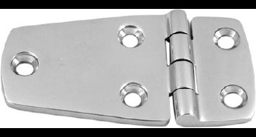 Scharnier 56 x 38 mm RVS-316 (A4)