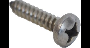 Plaatschroef RVS kruiskop 3,9x32mm (10 stuks)