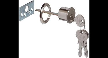 Lips staartcilinder 8153