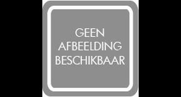 Rubo Toys KV BE Nijntje Strandset 2ass