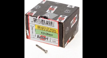 Kelfort Anti-inbraakschroef zelftappend RVS A2 4.2 x 38mm