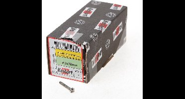 Kelfort Anti-inbraakschroef zelftappend RVS A2 4.2 x 32mm
