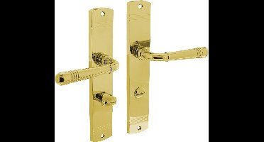 Intersteel Deurkruk Emily op schild 235x45x8 mm met WC63/8 mm messing gelakt