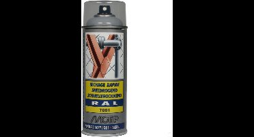 Sneldrogende lak spray voor metaal - Industrieel - Auto - Zilver Grijs - RAL7001