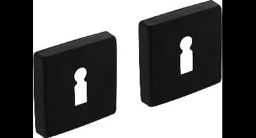 Intersteel Rozet sleutelgat 50x50x10 mm aluminium zwart (pr)