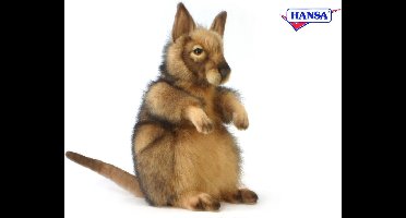 Buidelhaas Pluche, Hansa