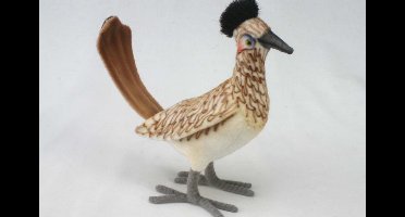 Renkoekoek, Roadrunner, hansa