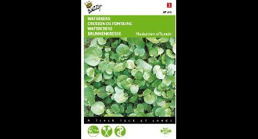 2 stuks Waterkers (Nasturtium officinale)