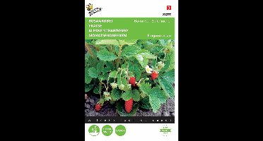 2 stuks - Buzzy - Aardbeien Baron Van Solemacher