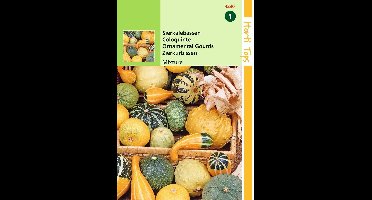 2 stuks Cucurbita Pepo, Sierkalebas Kleinvr. Gem.