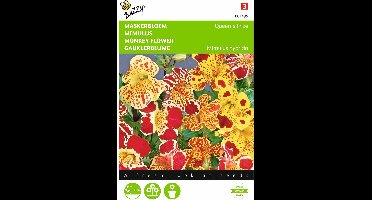 2 stuks Mimulus, Maskerbloem Queen's Prize gemengd