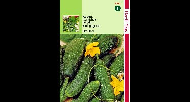 2 stuks Hortitops Augurken National Kleine Groene