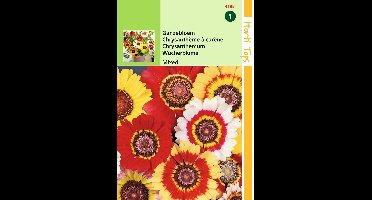 2 stuks Chrysanthemum Carinatum Gemengd