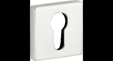Cilinderrozet - Nikkel gepolijst - Mi Satori - Mi Satori Bauhaus verdekt glans nikkel