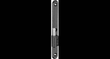 Plaatduim Block D vlak 22x200mm zwart