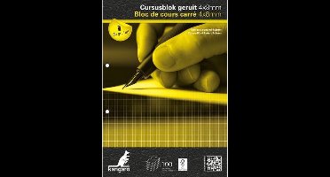 Kangaro cursusblok - A4 - ruit - 4x8mm - 90 grams - 2-gaats - schrijfblok - K-5402