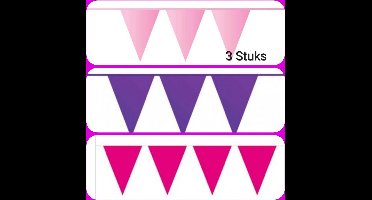 3 maal Vlaggenlijn  Paars / Pink/ Licht Roze, 30 meter totaal, Verjaardag, Sweet Sixteen, Themafeest
