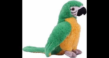 Pia Soft Toys Papagaai knuffel - groen met geel - 24 cm - pluche - knuffeldier - vogel knuffels - vogelknuffel