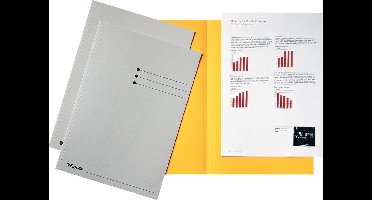 Esselte dossiermap grijs, karton van 180 g/m², pak van 100 stuks 4 stuks