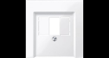 Merten 296019 TAE-contactdoos Afdekking System M, 1-M, M-Smart, M-Plan, M-Creativ Polar-wit (glanzend)