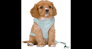 Trixie - Hondentuig - Junior - Puppy Softtuig - Met Riem - Mintgroen - 36-50X1 cm/2 m