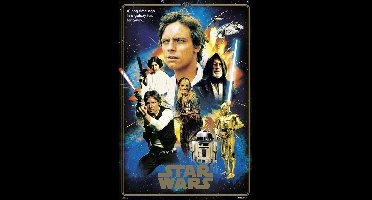Poster Star Wars - Classic 40 Anniversary Heroes 61x91,5cm