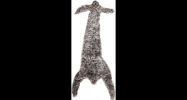 Boon Hond Speelgoed Konijn Plat Met piep XXL 85cm