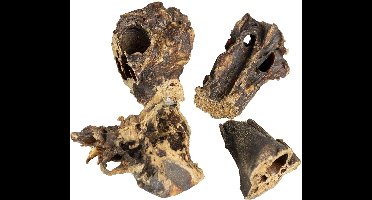 Duvoplus - Hondensnack - Hond - Farmz Lamslong 250g - 1st