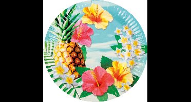 BOLAND BV - 6 kartonnen bordjes Hawaii party