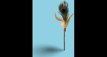 Luxe Kattenhengel met Matatabi Stokje en Pauwenveer