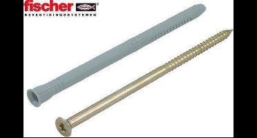 Fischer Kozijnplug FUR10 x 80TK (4)