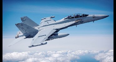 Hobby Boss 85814 EA-18G Growler Bouwpakket Schaal 1:48