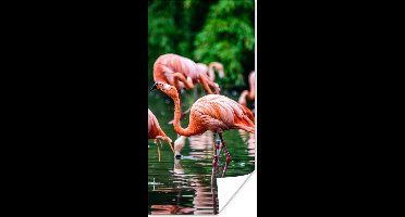 PosterMonkey - Poster - Fotolijst - Vogel - Water - Flamingo - Tropical - Dieren - 40x80 cm - Poster in lijst - Poster flamingo - Foto met lijst - Poster met kader