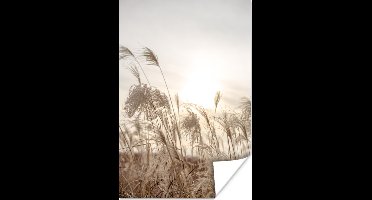 Poster Riet - Stilleven - Lucht - 20x30 cm