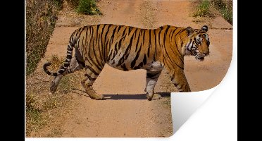 Muurstickers - Sticker Folie - Tijger - Weg - Lopen - 30x20 cm - Plakfolie - Muurstickers Kinderkamer - Zelfklevend Behang - Zelfklevend behangpapier - Stickerfolie
