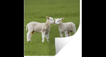Muurstickers - Sticker Folie - Schapen - Lam - Boerderij - 30x30 cm - Plakfolie - Muurstickers Kinderkamer - Zelfklevend Behang - Zelfklevend behangpapier - Stickerfolie
