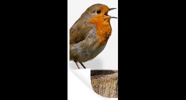 Muurstickers - Sticker Folie - Roodborstje - Vogel - Hout - 20x40 cm - Plakfolie - Muurstickers Kinderkamer - Zelfklevend Behang - Zelfklevend behangpapier - Stickerfolie