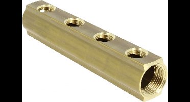 Bonfix Collector standaard 50 mm 4 groeps - 2 x 1 - groepen: 1/2 binnendraad