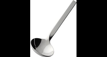 Villeroy & Boch Sauslepel NewWave