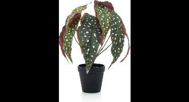 Emerald - Kunstplant in pot Begonia Maculata 33cm - Kunstplant voor binnen