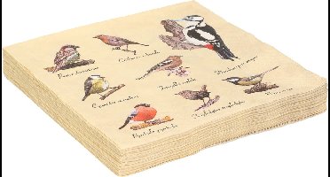 Servetten met vogels print - 60x - papier - 33 x 33 cm - tuinvogels - 3 laags