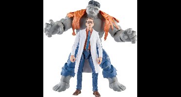 Hasbro The Avengers - Avengers: Beyond Earth's Mightiest Marvel Legends Gray Hulk & Dr. Bruce Banner 15 cm Actiefiguur - Multicolours