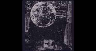 Thee Oh Sees - Moon Sick (CD)