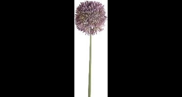 Emerald Allium/Sierui kunstbloem - losse steel - lila paars - 65 cm - Natuurlijke uitstraling
