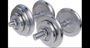 Gorilla Sports Set Dumbells 30 kg - Halterset - Chroom - 30 mm - Dumbbell
